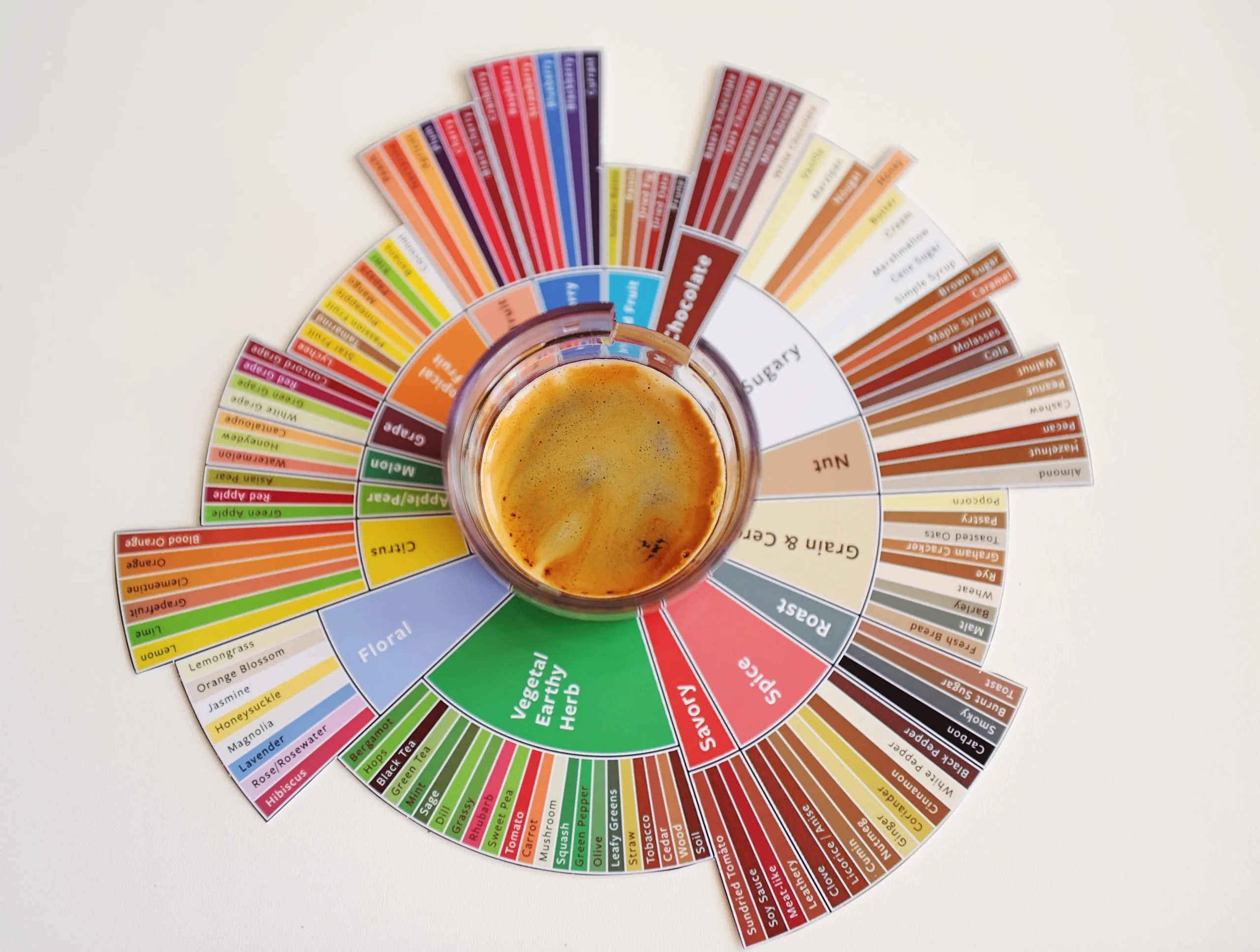 espresso on a flavour wheel landscape