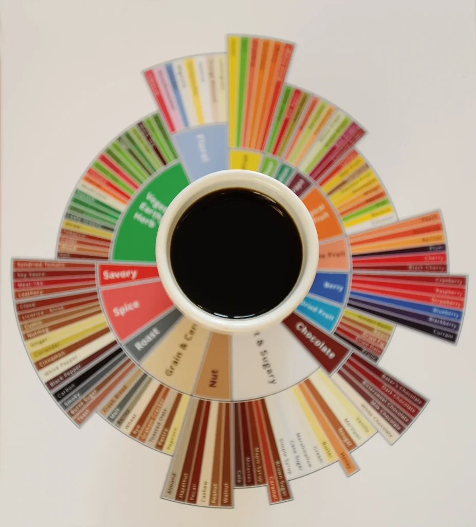 black coffee on a flavour wheel square